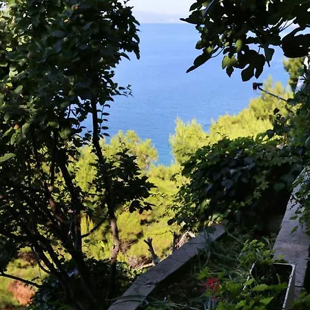 Appartement Studio Marusici 1042a *
