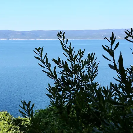 Studio Marusici 1042a