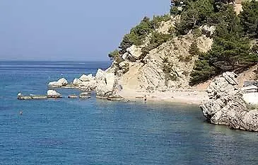 Studio Marusici 1042a * Mimice